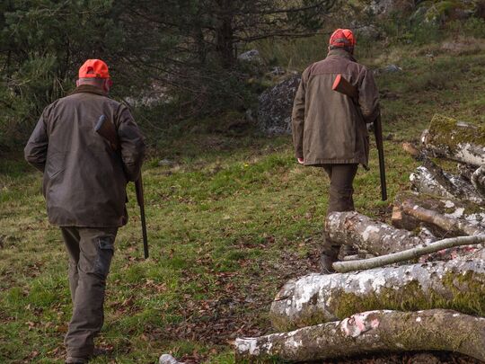 Chasse à Dourlers